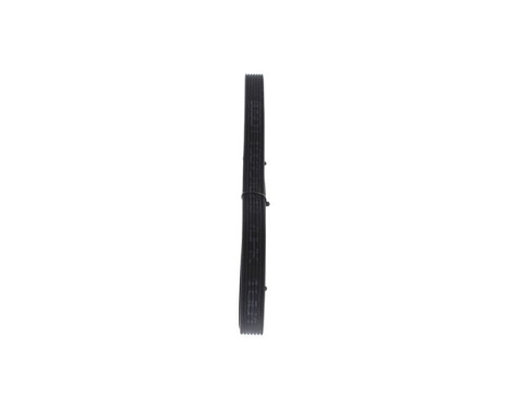 V-Ribbed Belt, Image 6