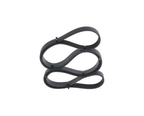 V-Ribbed Belt