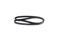 V-Ribbed Belt