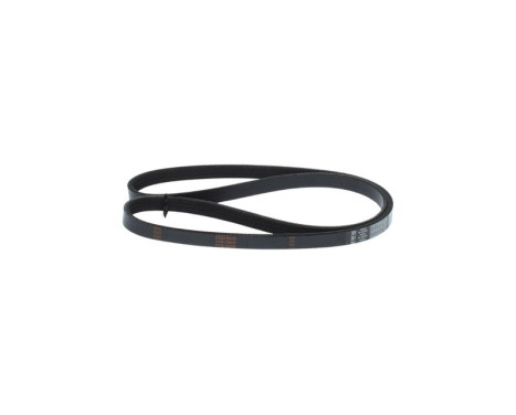 V-Ribbed Belt