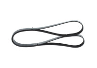 V-Ribbed Belt