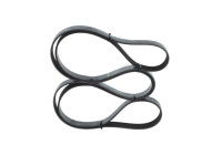 V-Ribbed Belt