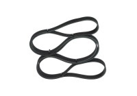 V-Ribbed Belt