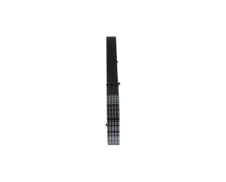 V-Ribbed Belt, Image 2