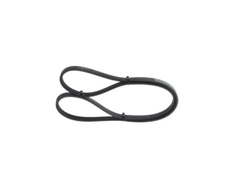 V-Ribbed Belt, Image 7