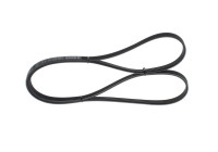 V-Ribbed Belt