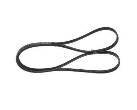 V-Ribbed Belt