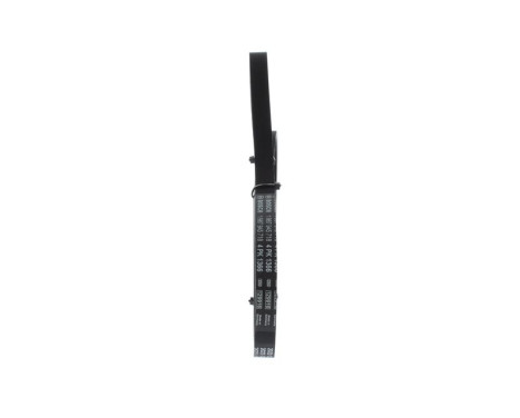 V-Ribbed Belt, Image 4