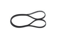 V-Ribbed Belt