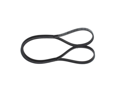 V-Ribbed Belt