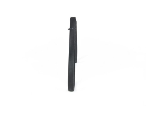 V-Ribbed Belt, Image 2