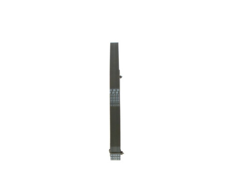 V-Ribbed Belt, Image 8