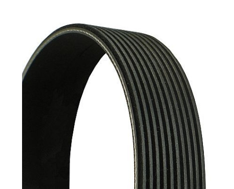 V-Ribbed Belts 10PK 1360 Contitech