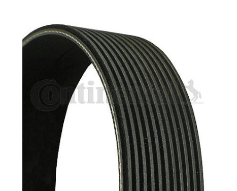 V-Ribbed Belts 11PK 1515 Contitech