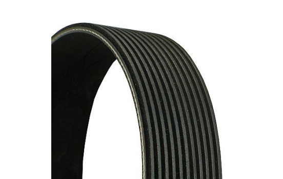 V-Ribbed Belts 11PK1890 Contitech
