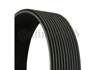 V-Ribbed Belts 11PK2020 Contitech