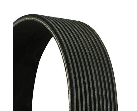 V-Ribbed Belts 11PK2040 Contitech