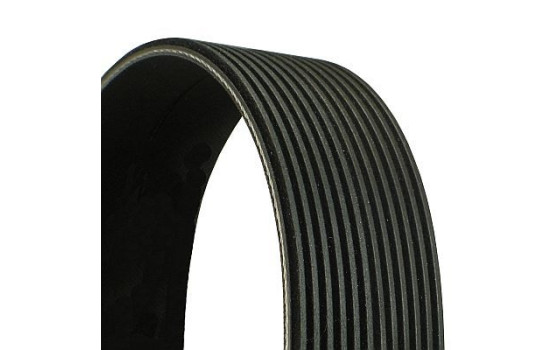 V-Ribbed Belts 12PK1815 Contitech