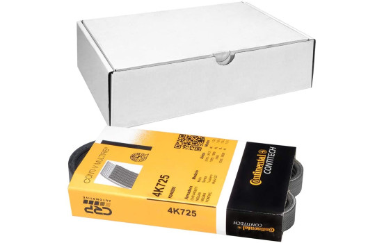 V-Ribbed Belts 4PK725 Contitech