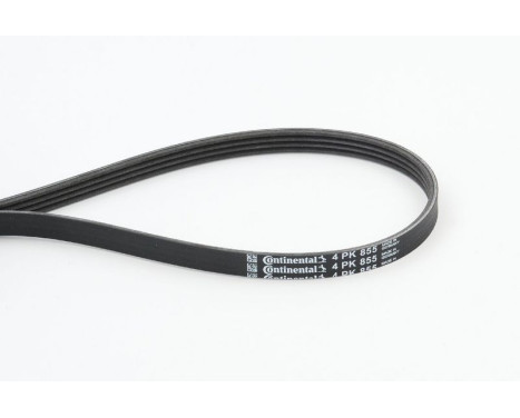 V-Ribbed Belts 4PK855 Contitech, Image 2