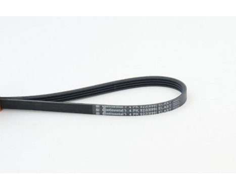V-Ribbed Belts 4PK922 ELAST Contitech, Image 2