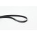 V-Ribbed Belts 4PK925 Contitech, Thumbnail 2