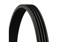 V-Ribbed Belts 4PK975 Contitech