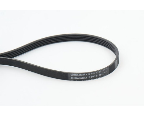 V-Ribbed Belts 5PK1125 Contitech, Image 2
