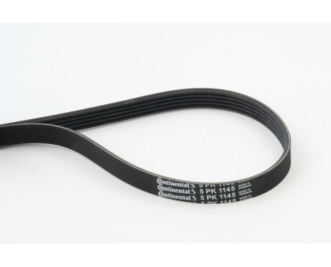 V-Ribbed Belts 5PK1145 Contitech, Image 2