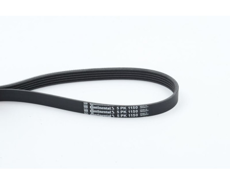 V-Ribbed Belts 5PK1150 Contitech, Image 2