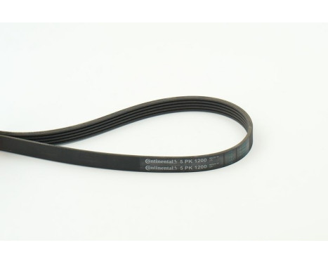 V-Ribbed Belts 5PK1200 Contitech, Image 2