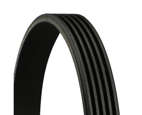 V-Ribbed Belts 5PK1255 Contitech, Image 2