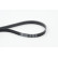 V-Ribbed Belts 5PK1592 Contitech, Thumbnail 2