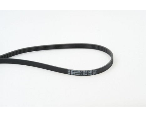 V-Ribbed Belts 5PK1750 Contitech, Image 2