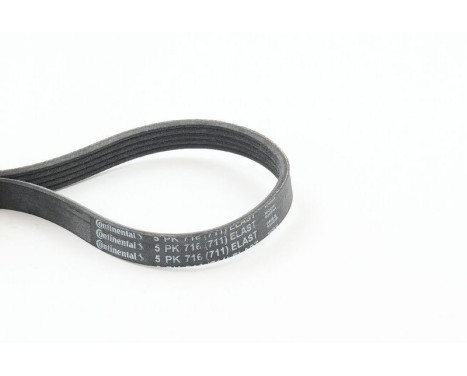 V-Ribbed Belts 5PK716ELAST Contitech, Image 2