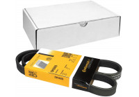 V-Ribbed Belts 5PK980 Contitech