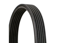 V-Ribbed Belts 6DPK1100 Contitech