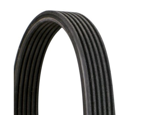 V-Ribbed Belts 6DPK1697 Contitech, Image 2