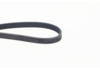 V-Ribbed Belts 6DPK1825 Contitech