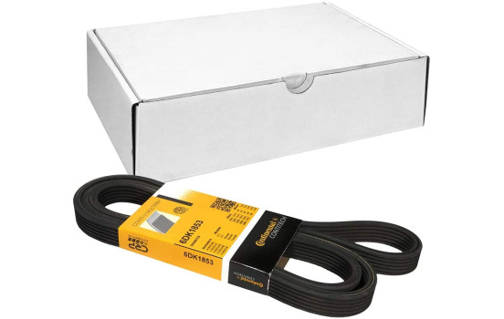 V-Ribbed Belts 6DPK1853 Contitech
