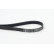 V-Ribbed Belts 6PK1019 ELAST Contitech, Thumbnail 2