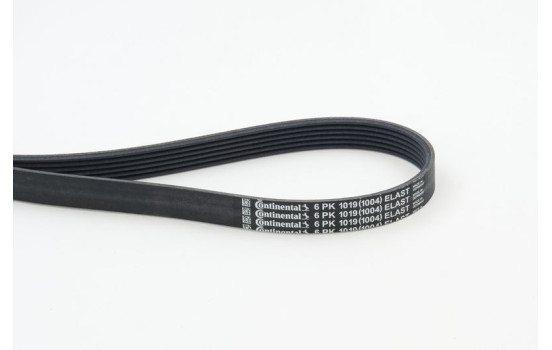 V-Ribbed Belts 6PK1019 ELAST Contitech, Image 2