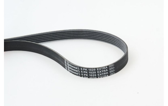 V-Ribbed Belts 6PK1020 EXTRA Contitech