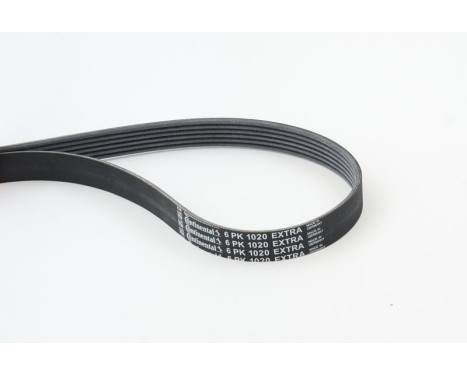 V-Ribbed Belts 6PK1020 EXTRA Contitech