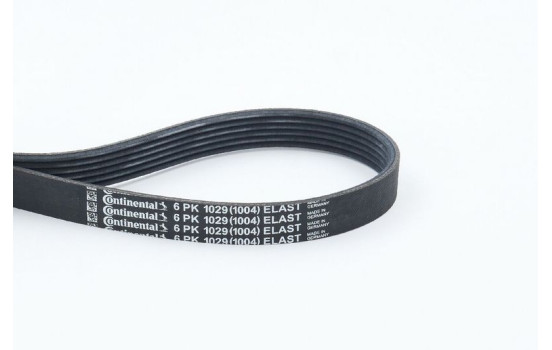 V-Ribbed Belts 6PK1029ELAST Contitech, Image 2
