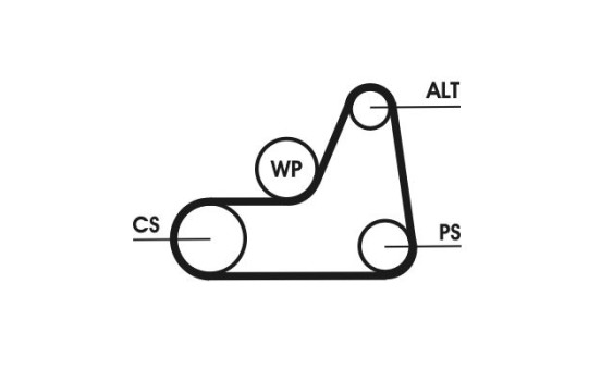 V-Ribbed Belts 6PK1042 ELAST Contitech, Image 3