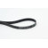 V-Ribbed Belts 6PK1100 Contitech, Thumbnail 2