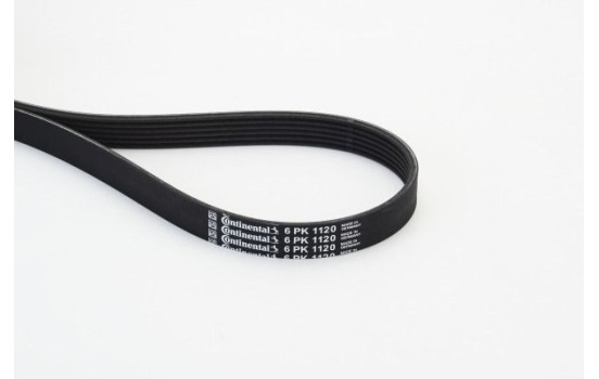 V-Ribbed Belts 6PK1120 Contitech