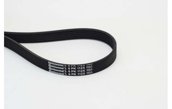 V-Ribbed Belts 6PK1125 Contitech, Image 2
