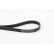 V-Ribbed Belts 6PK1130 Contitech, Thumbnail 2